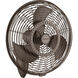 Pola 24 inch Satin Natural Bronze with Sat Nat Bronze Blades Ceiling Fan
