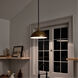 Homestead Fira 1 Light 14 inch Natural Brass Pendant Ceiling Light, Fira