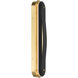 Tauri LED 5.25 inch Lacquered Brass Wall Sconce Wall Light