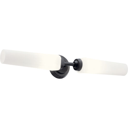 Truby 2 Light 25.75 inch Black Bath Vanity Light Wall Light