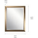 Independence 30 X 24 inch Champagne Bronze Mirror