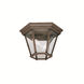 Madison 2 Light 11 inch Tannery Bronze Outdoor Flush & Semi Flush Mt