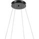Larousse LED Black Chandelier Ceiling Light