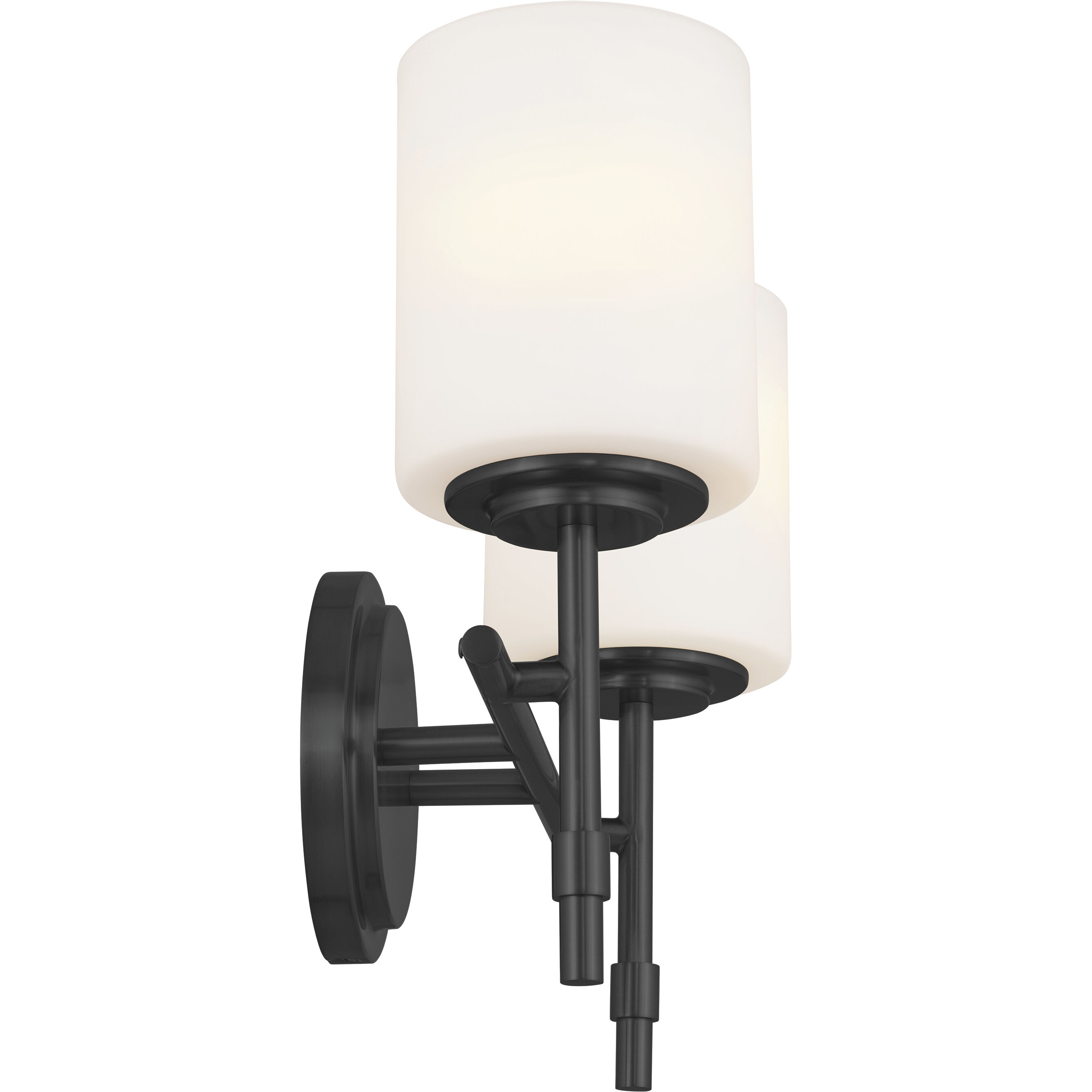 Ali 2 Light 14 inch Black Bath Vanity Light Wall Light