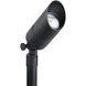 Independence 12 AC 35 watt Black Brass Accent Fixture
