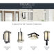 Tremillo 2 Light 12 inch Black Outdoor Flush & Semi Flush Mt