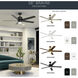Brahm 56 inch Natural Brass with Walnut Blades Ceiling Fan