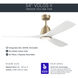 Volos II 54 inch Champagne Bronze with Matte White Blades Ceiling Fan