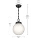 Andorra 1 Light Black Pendant Ceiling Light