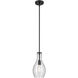 Everly 1 Light Black Pendant Ceiling Light in Clear Seeded
