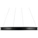 Larousse LED Black Chandelier Ceiling Light