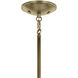 Shailene 5 Light Natural Brass Chandelier Ceiling Light in Clear