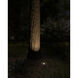 Landscape LED 12 17.00 watt Centennial Brass Landscape 12V LED Inground