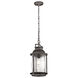 Ashland Bay 1 Light 9 inch Weathered Zinc Outdoor Hanging Pendant