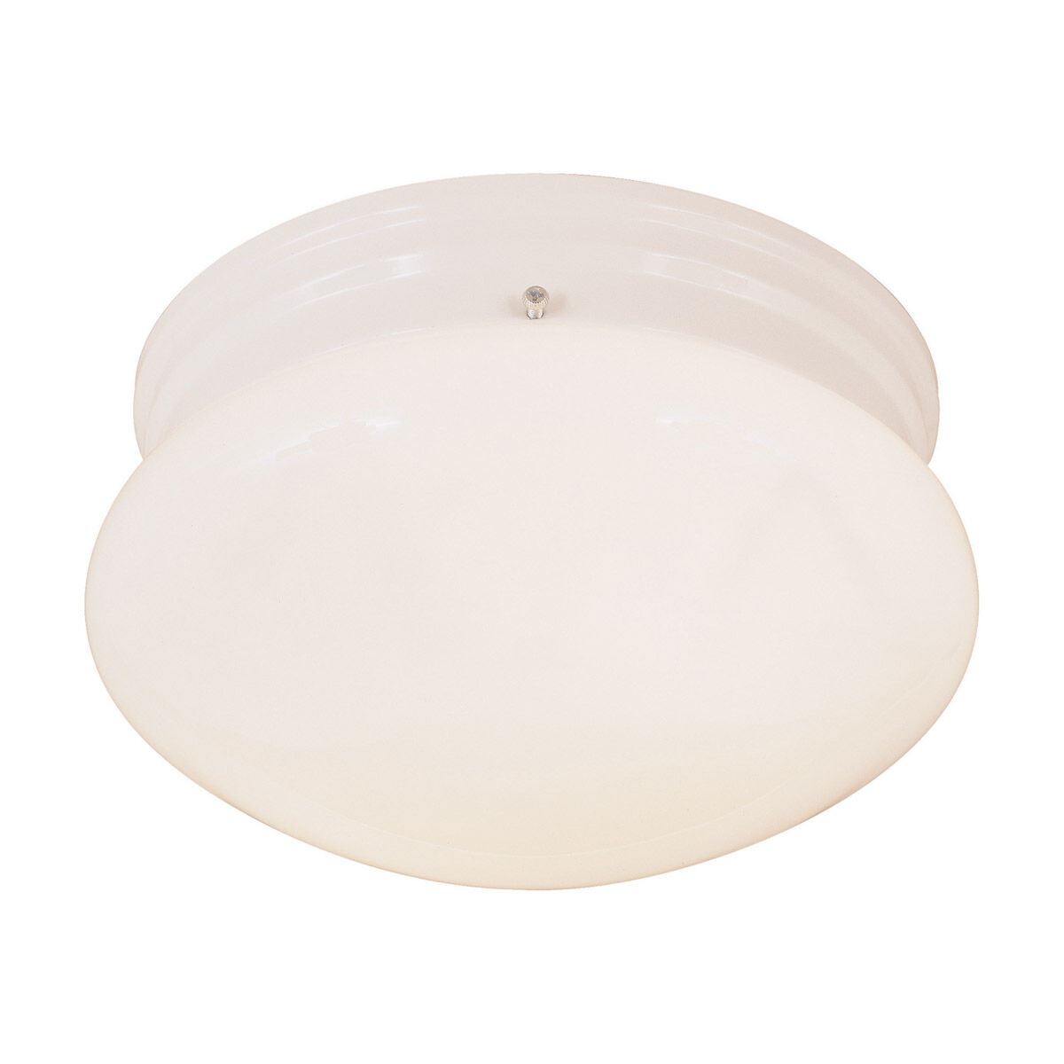 Signature 2 Light 9.5 inch White Flush Mount Ceiling Light