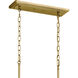 Homestead Vetivene 8 Light 18 inch Natural Brass Chandelier Ceiling Light, Vetivene