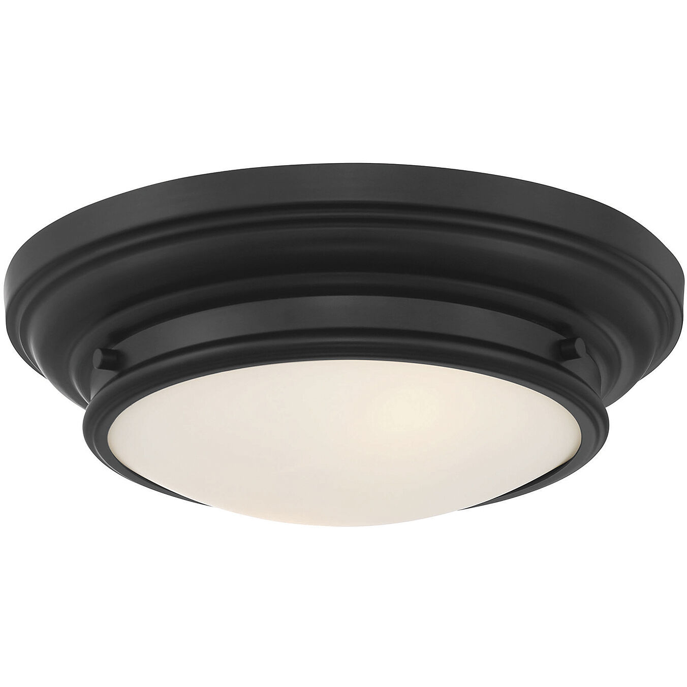 Transitional 2 Light 13.00 inch Flush Mount
