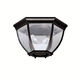 Independence 2 Light 12 inch Black Outdoor Flush & Semi Flush Mt