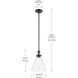 Laria 1 Light Black Pendant Ceiling Light in Clear