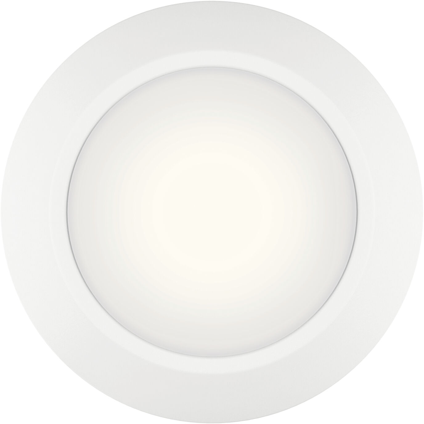 Single downlight cheap