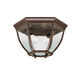 Independence 2 Light 12 inch Tannery Bronze Outdoor Flush & Semi Flush Mt