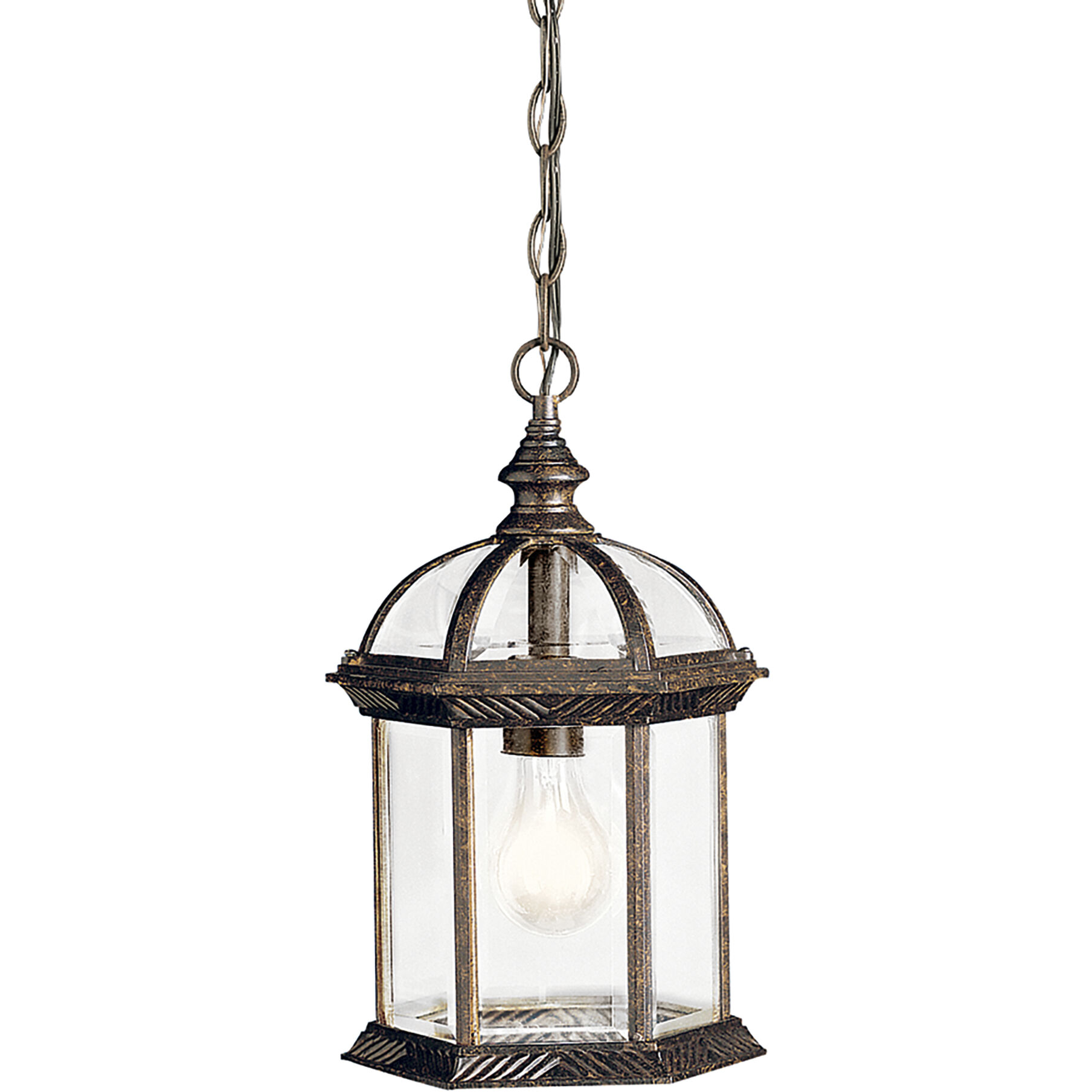 Barrie 1 Light 8 inch Tannery Bronze Outdoor Hanging Pendant in Incandescent