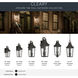 Cleary 3 Light 30 inch Olde Bronze Outdoor Wall Light