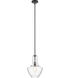 Everly 1 Light 11 inch Black Pendant Ceiling Light in Clear