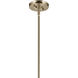 Laria 1 Light Champagne Bronze Pendant Ceiling Light in Opal