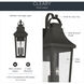 Cleary 3 Light 30 inch Olde Bronze Outdoor Wall Light