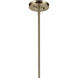 Laria 1 Light Champagne Bronze Pendant Ceiling Light in Opal