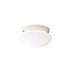 Ceiling Space 2 Light 9 inch White Flush Mount Light Ceiling Light