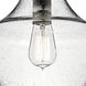 Everly 1 Light 11 inch Olde Bronze Pendant Ceiling Light in Clear Seeded