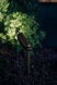 Independence 12 35.00 watt Textured Architectural Bronze Landscape 12V Accent in Single