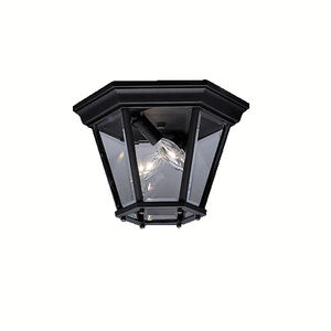Madison 2 Light 10.75 inch Outdoor Ceiling Light