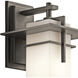 Caterham 1 Light 15 inch Olde Bronze Outdoor Wall, Medium