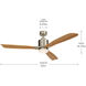 Ridley Ii 52 inch Brushed Stainless Steel with Medium Oak Blades Ceiling Fan