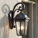 Courtyard 3 Light 22 inch Rubbed Bronze Outdoor Wall, X-Large