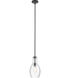 Everly 1 Light 7 inch Black Pendant Ceiling Light in Clear