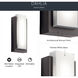 Dahlia LED 19 inch Architectural Bronze Outdoor Wall, Medium