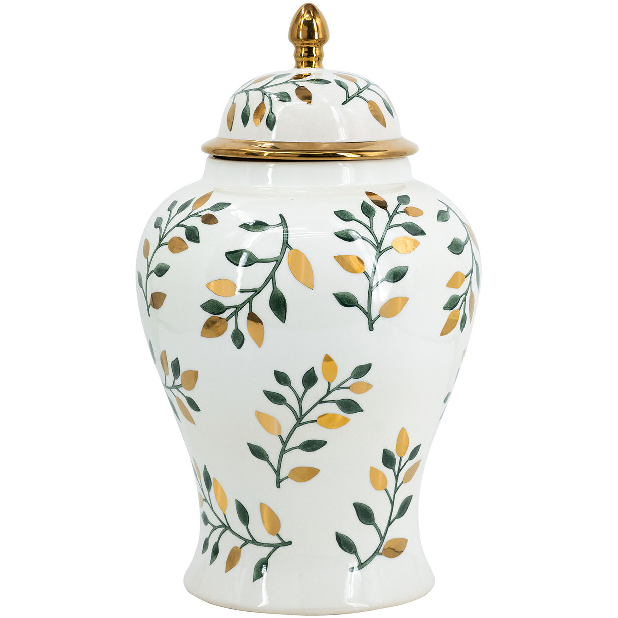 Ginger 19.1 X 11.2 inch Jar