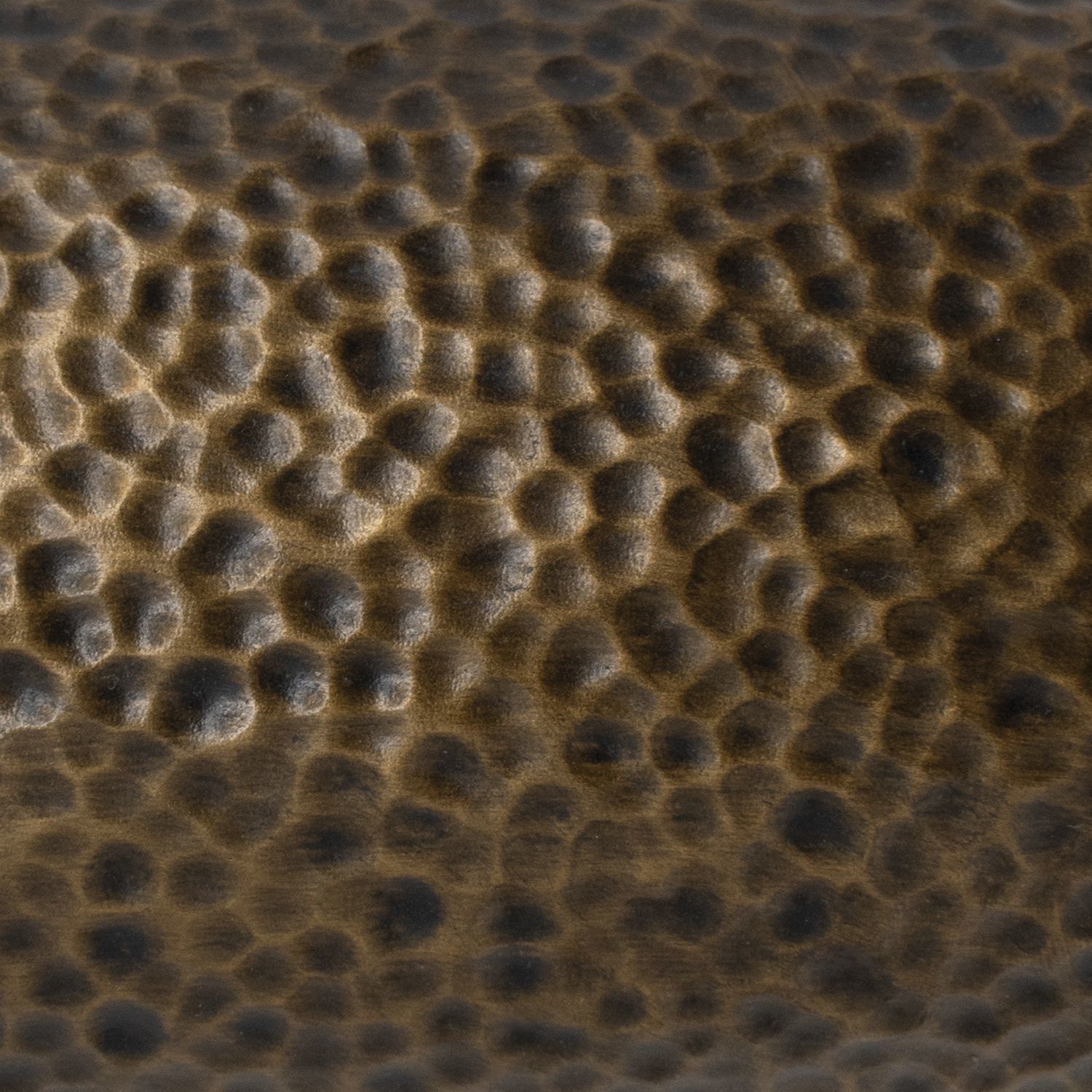 Radiance Collection 1 Light 8 inch Hammered Brass with Dark Bronze Pendant Ceiling Light