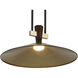 Tenon LED Black Pendant Ceiling Light