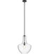 Everly 1 Light 14 inch Black Pendant Ceiling Light in Clear
