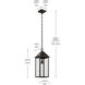 Prin 1 Light 9 inch Olde Bronze Outdoor Hanging Pendant