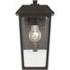 Mathus 1 Light 13 inch Olde Bronze Outdoor Wall, Small
