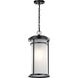 Toman 1 Light 10 inch Black Outdoor Hanging Pendant in Incandescent