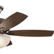 Terra 52 inch Oil Brushed Bronze with Walnut Blades Ceiling Fan