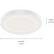 Ara White Downlight