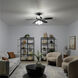 Renew Premier 52 inch Satin Black Ceiling Fan